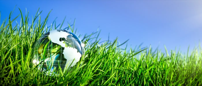 Can Being Environmentally Sustainable Benefit Your Business