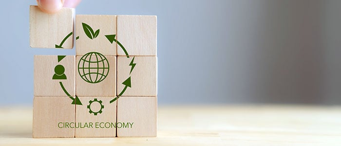 The Circular Economy